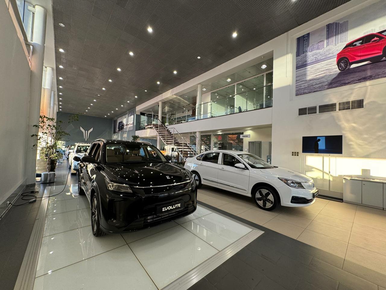 photo Авангард Evolute