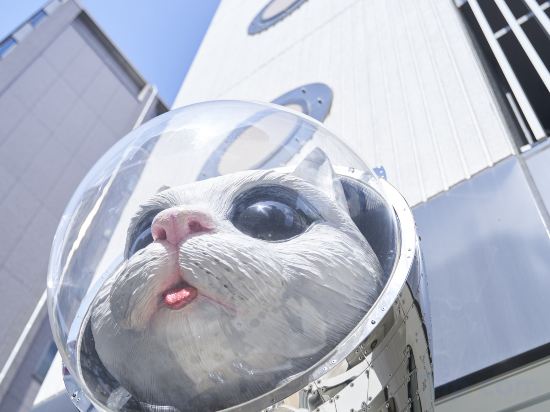 Фото WeBase Hakata Hostel