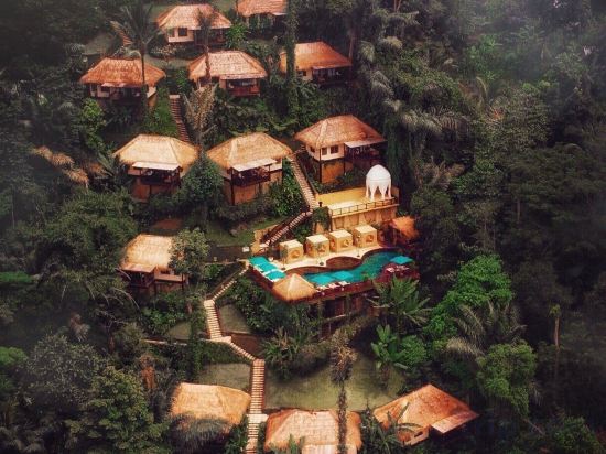 Фото Nandini Jungle by Hanging Gardens