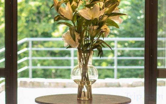 Фото Hotel Republika