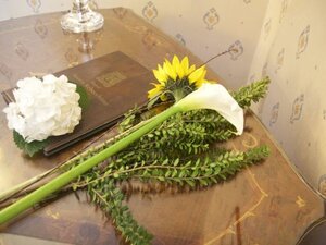 Гостиница Hotel Nuovo Rebecchino 