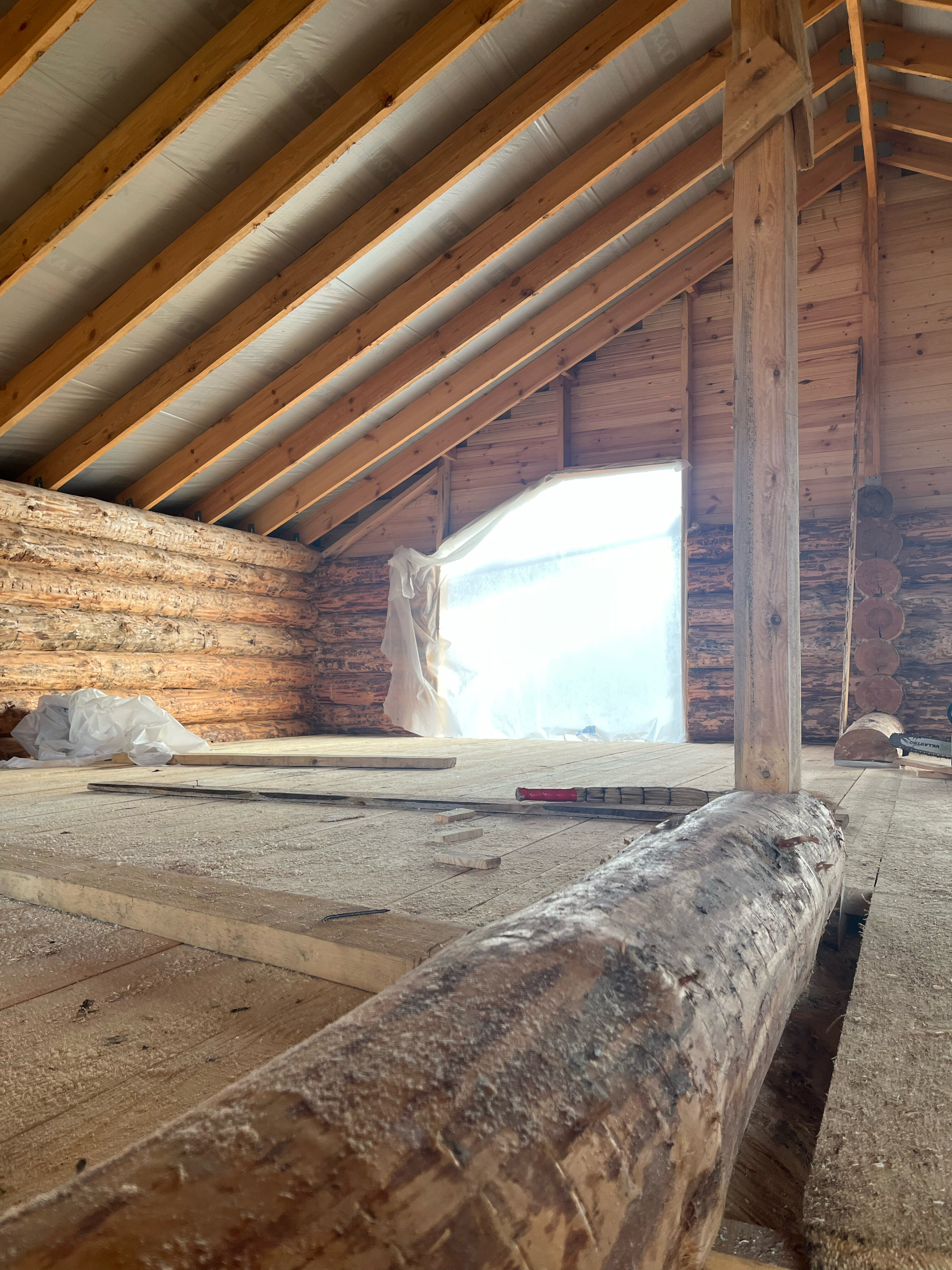 Фото Стрижели