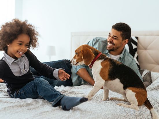 Фото Citadines Les Halles Paris