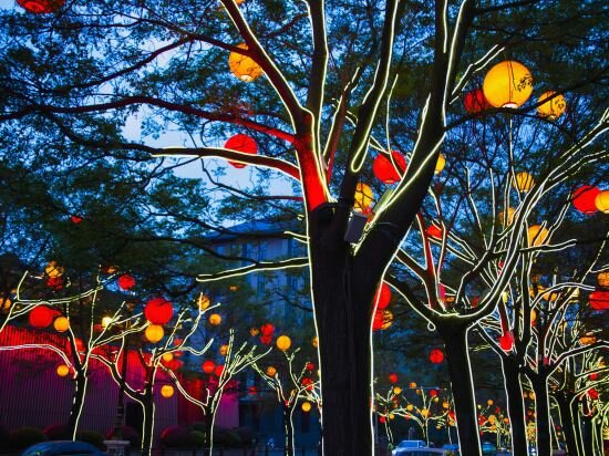 Hotel Pod Inn Xi'an Xiaozhai Giant Wild Goose Pagoda, Xi'an, photo
