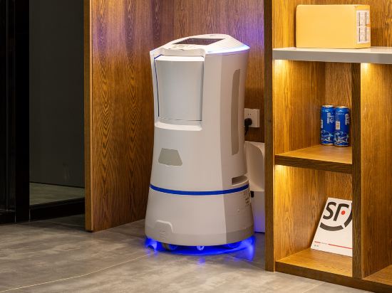 Фото Borrman Hotel