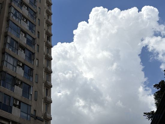 Фото SU Guesthouse