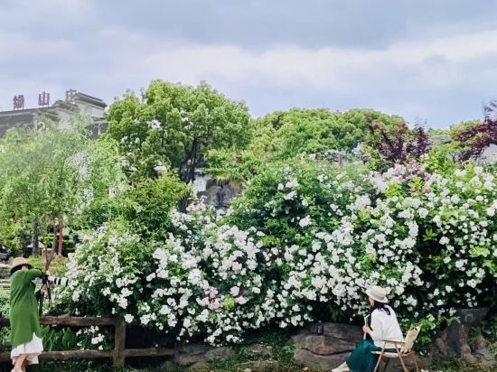 Фото Floral Hotel·Wuxi Yangshan taoyuan Hotel