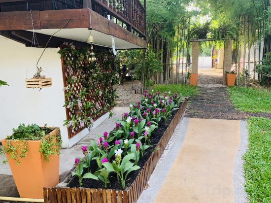 Фото Mango T. Villa Chiang Mai Resort