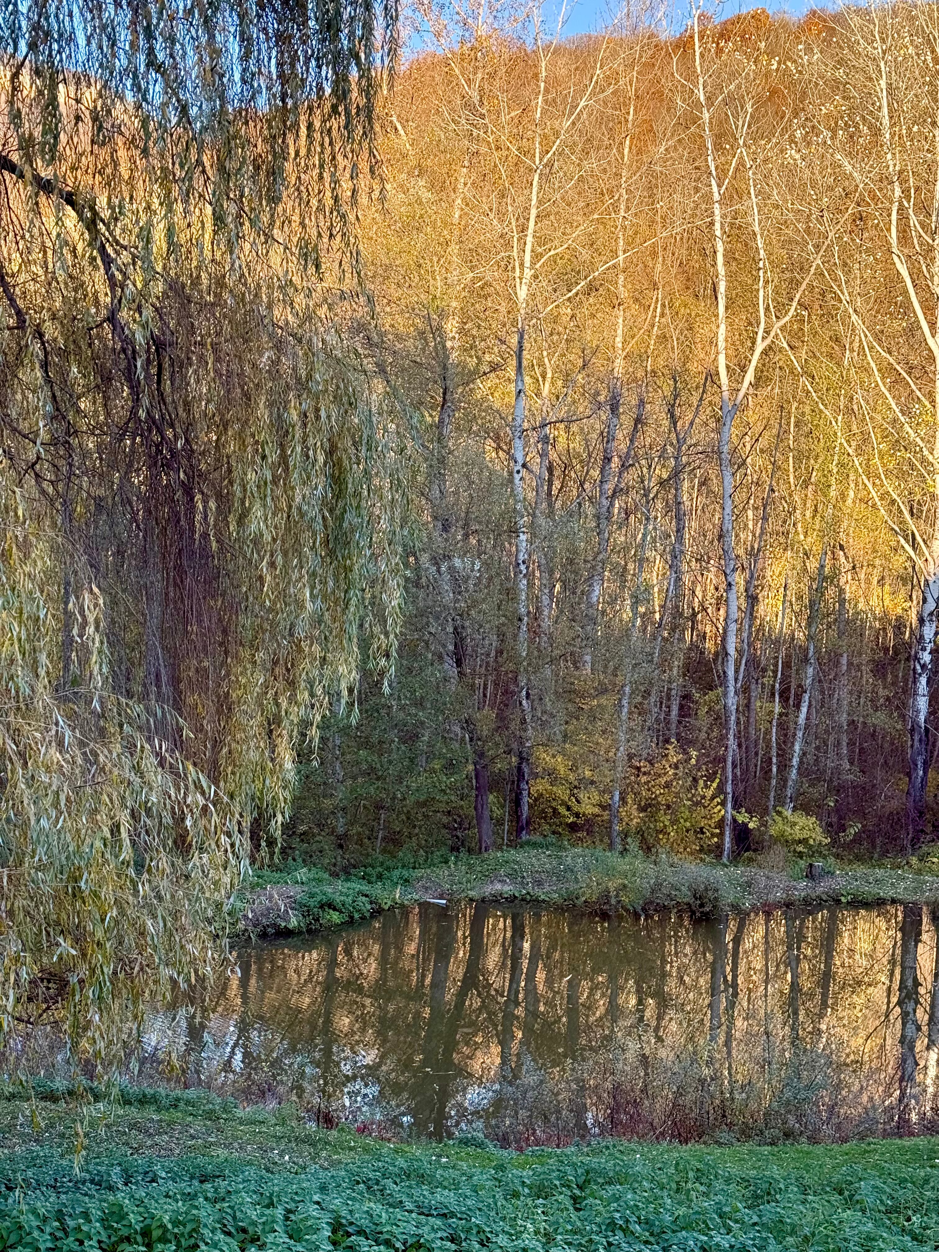 Фото Горный Relax