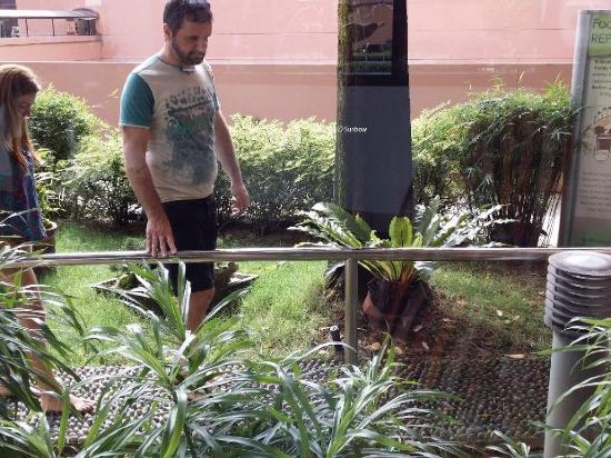 Фото Sunbow Suites