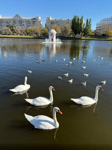 Лебединый домик (Astrakhan, Lebedinoye Lake), landmark, attraction