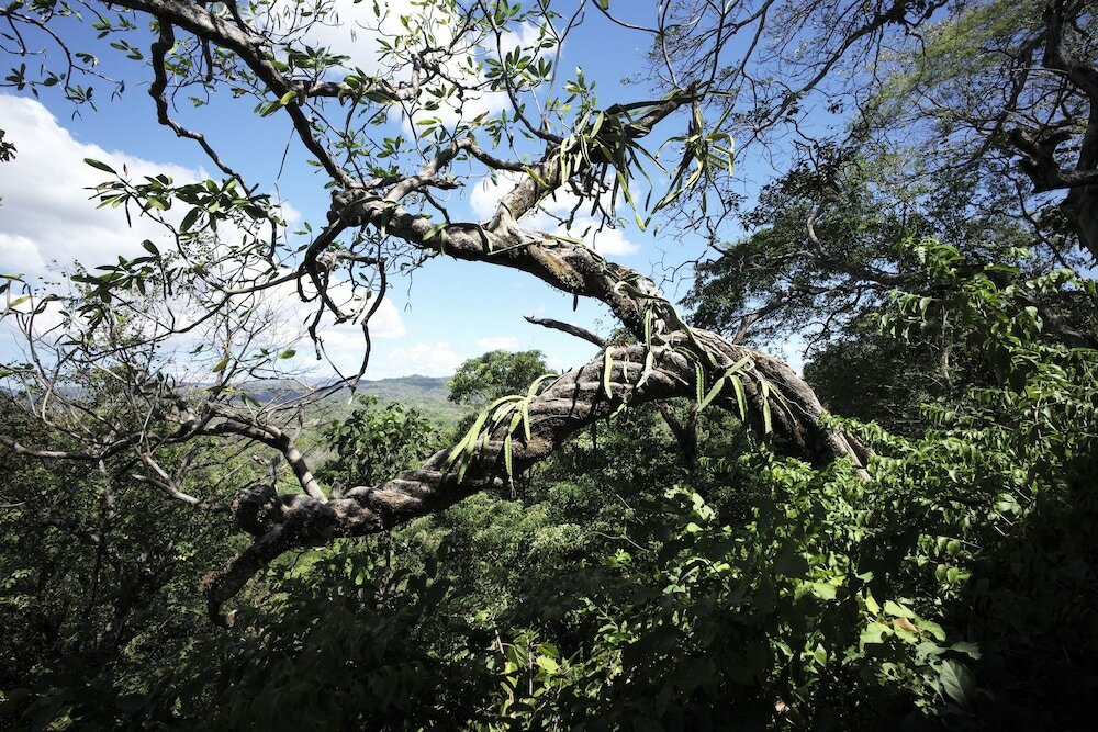 Фото Hotel Boutique Lagarta Lodge