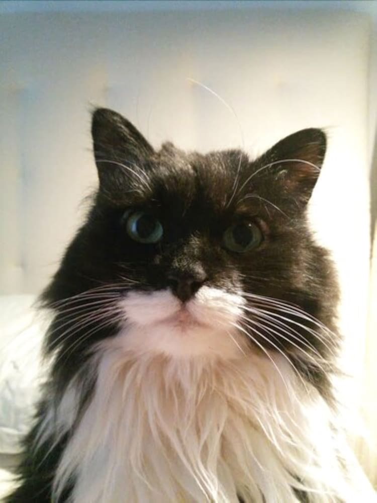 Фото Hotel Arco Di Travertino