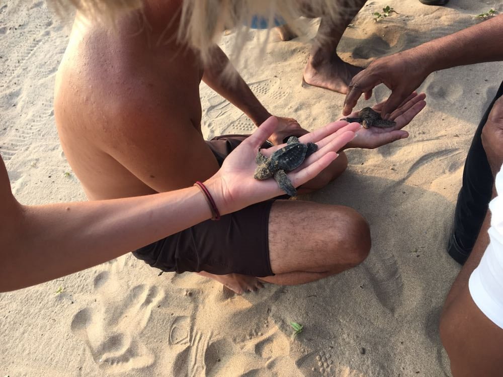 Фото Twenty-Two Weligambay