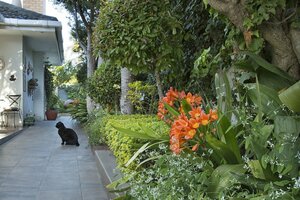 Гостиница Carslogie House