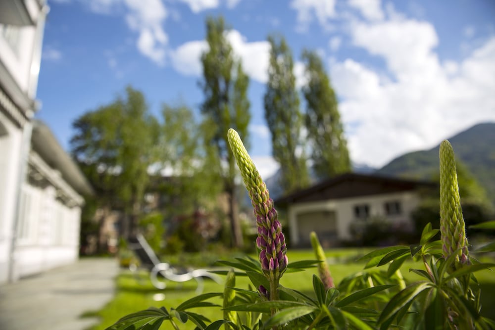 Фото Boutique Hotel Bellevue