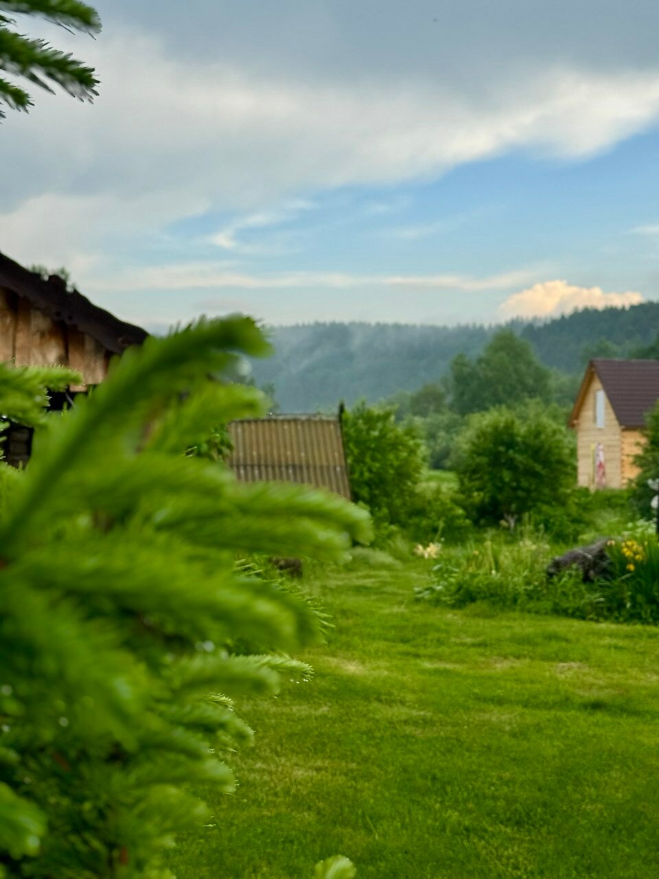 Фото Новые соседи