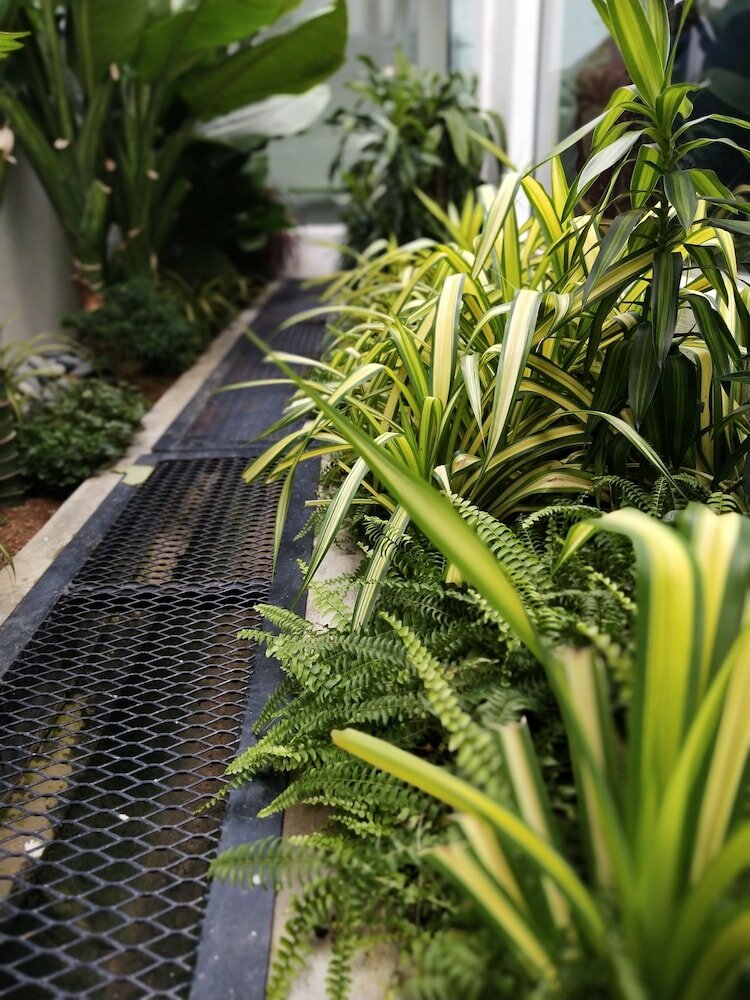 Фото Beds In Garden Hostel Sdn Bhd