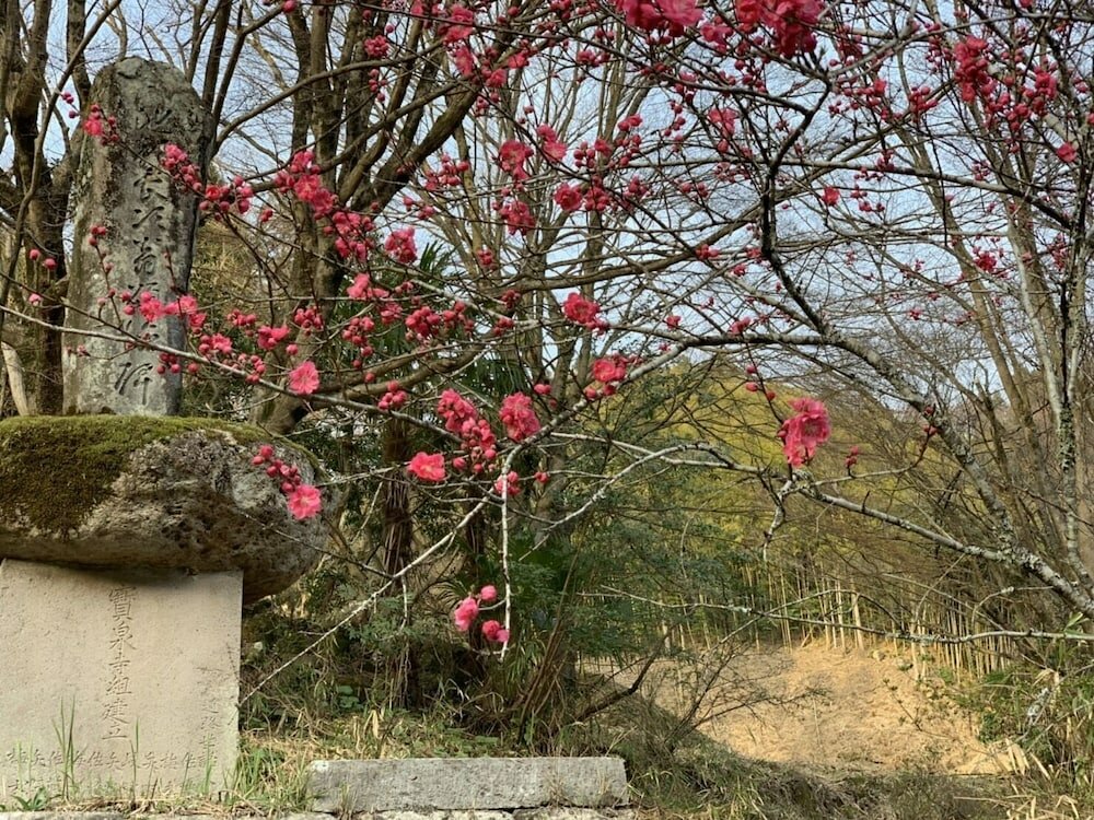 Фото Kinosato Yamanoyu