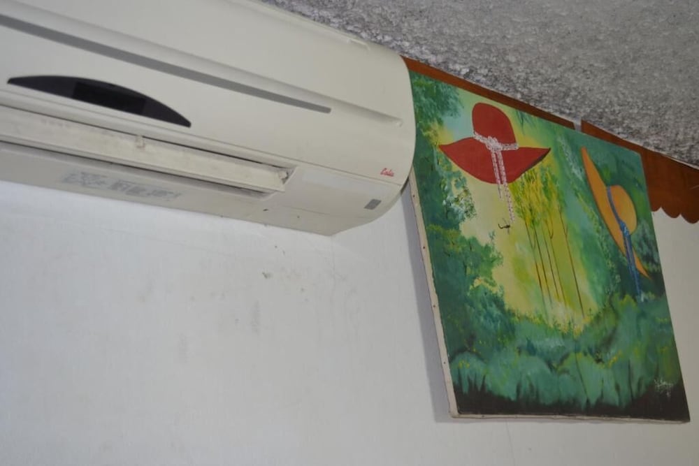 Фото Pacot Breeze