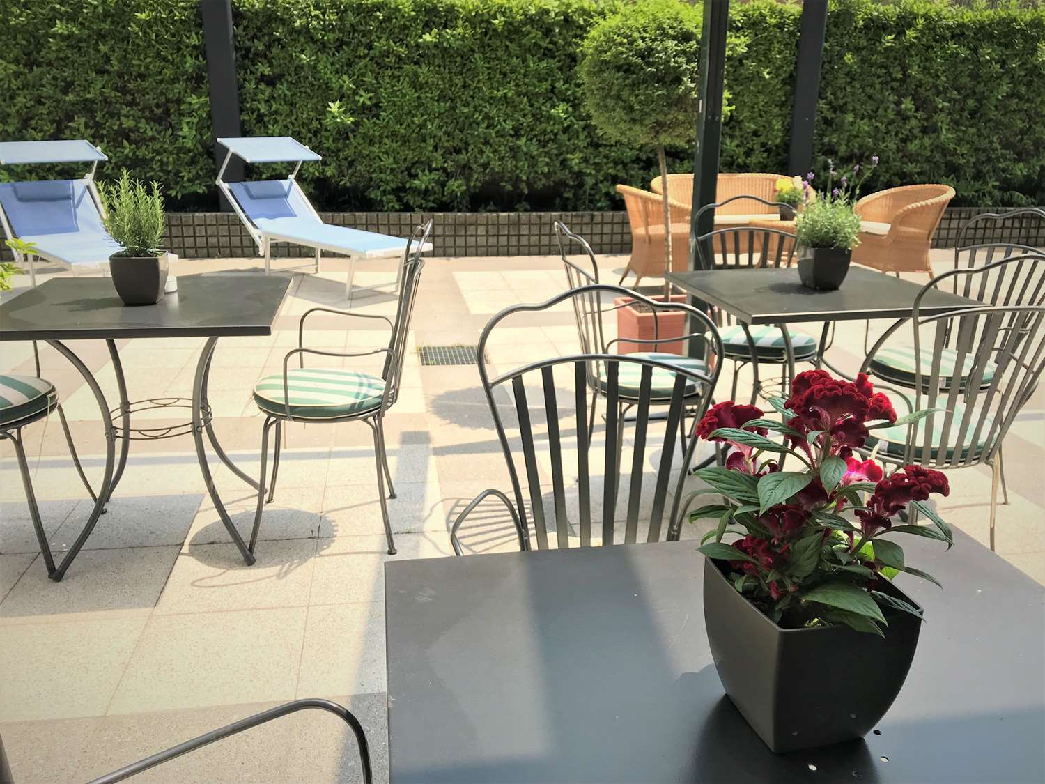 Фото The Regency Hotel, Sure Hotel Collection by Best Western