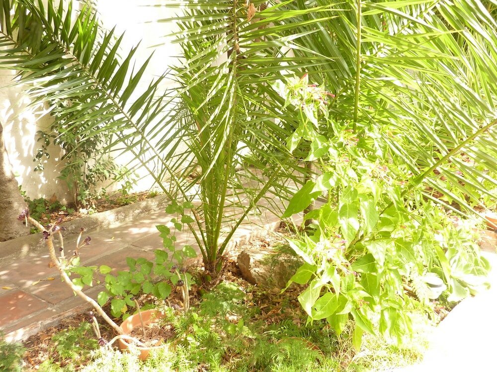 Фото Casa Vilaró