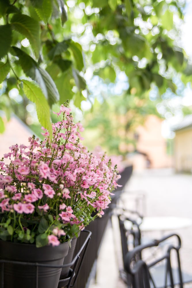 Фото Akademihotellet