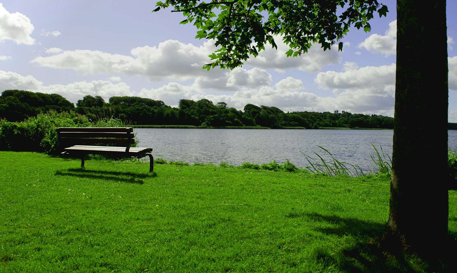 Фото Golf Hotel Viborg