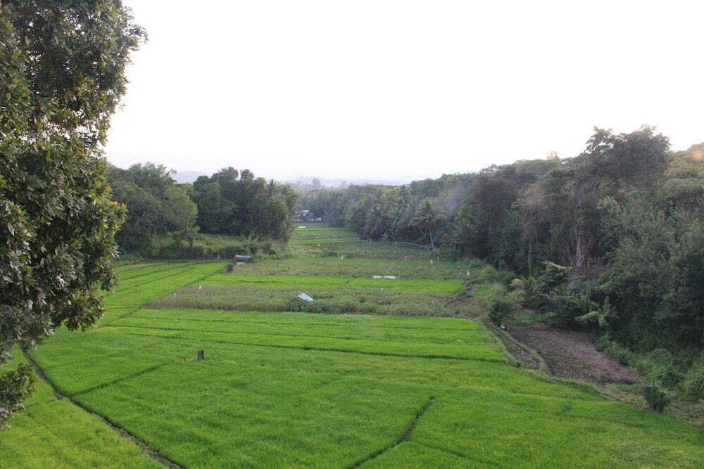 Фото Flower Seven Hotel