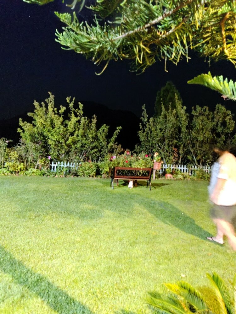 Фото Cedar Lodge by Aahma