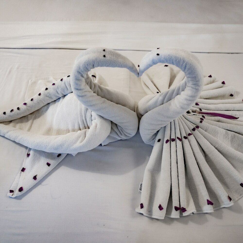 Фото Zanzi House