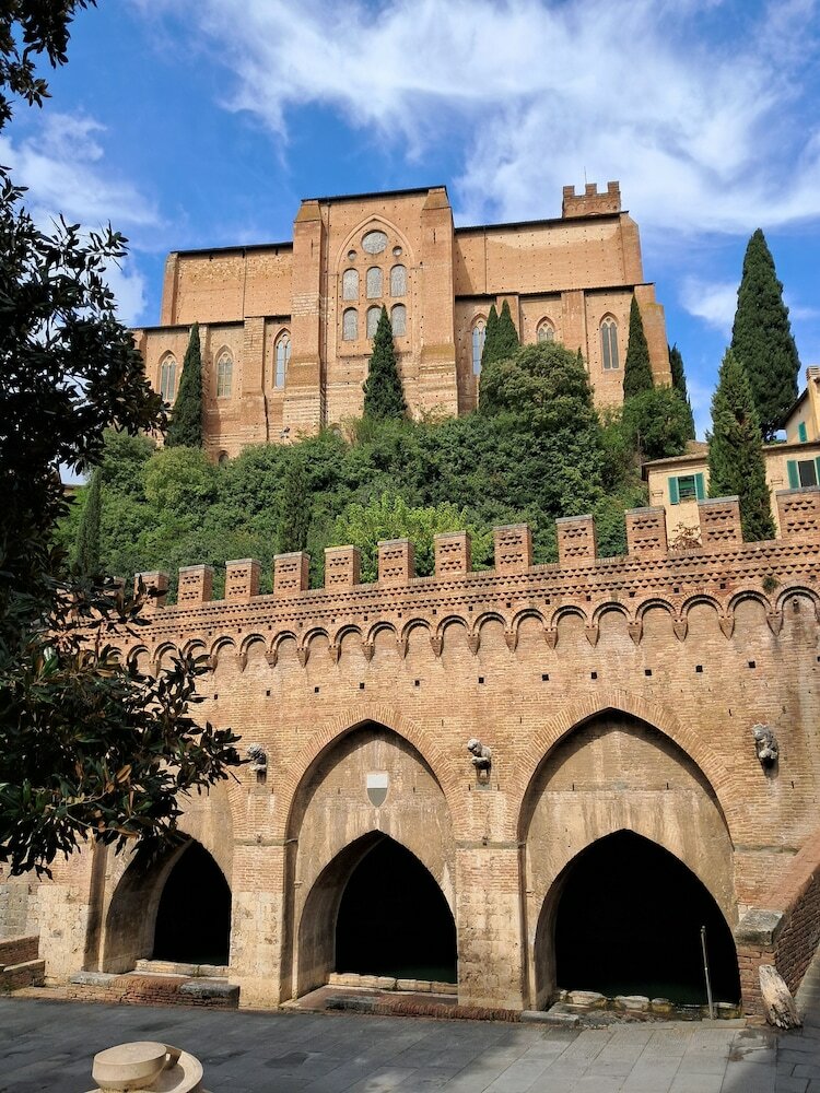 Фото Hotel Minerva