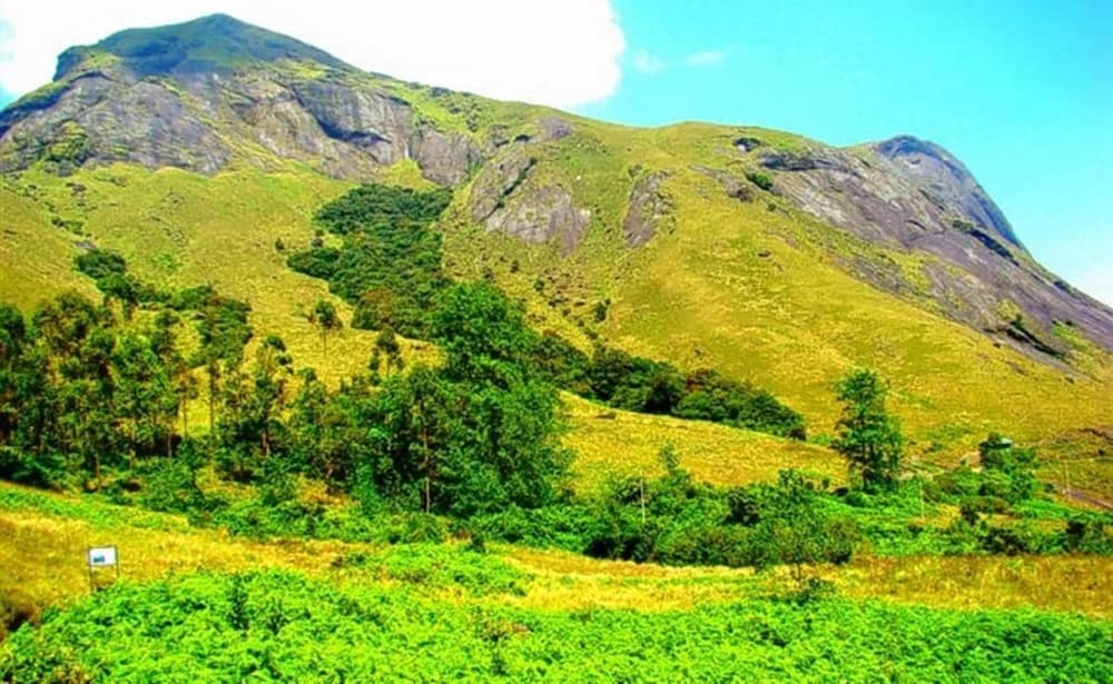 Фото Nature Zone Jungle Resort