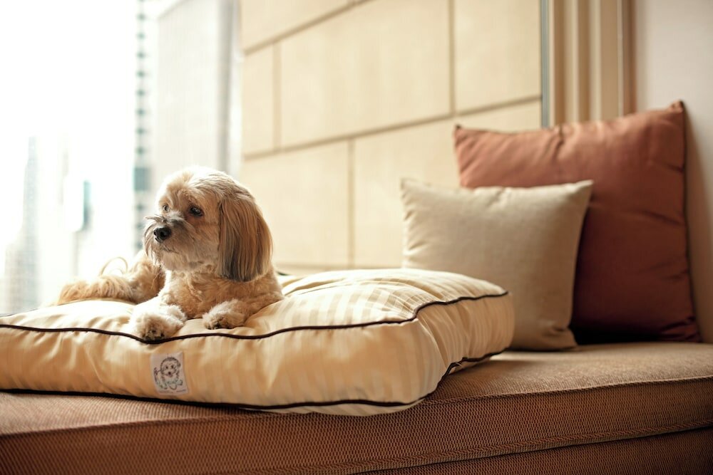 Фото Hyatt Regency Cincinnati