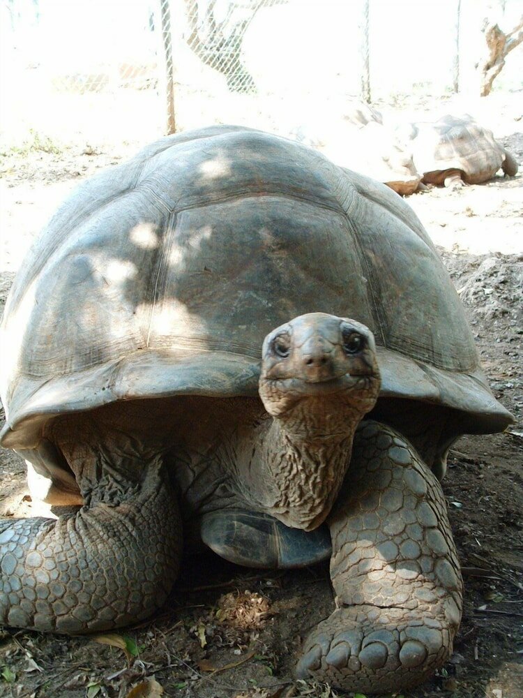 Фото Princess Salme Inn