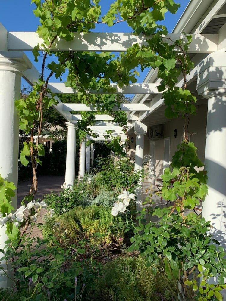 Фото Montagu Vines Guest House
