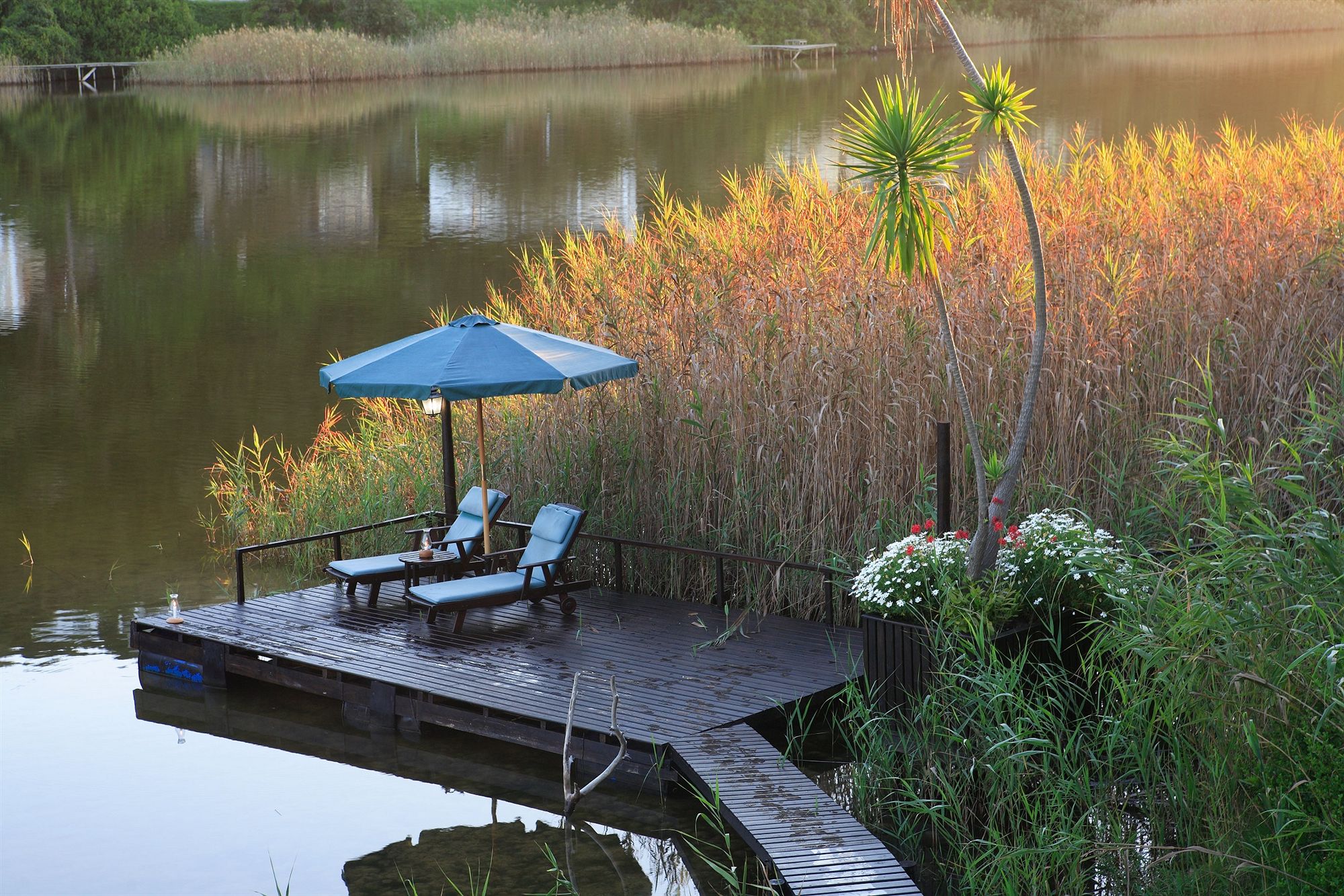 Фото Moontide Guest Lodge