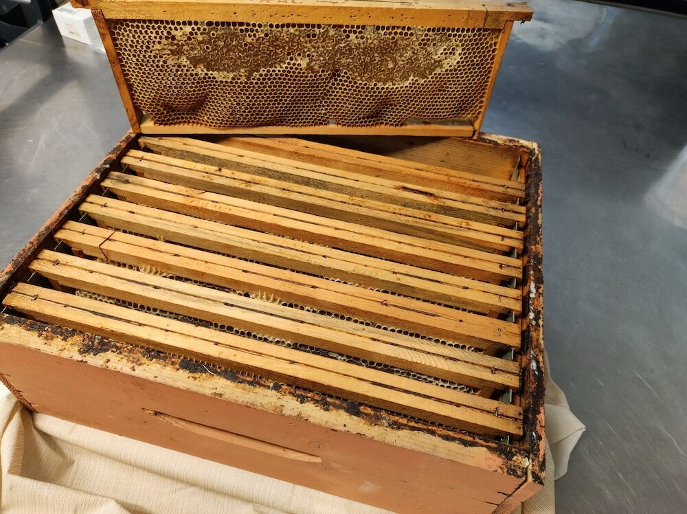 Фото Отель Hieracon