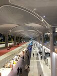 Istanbul Airport Arrivals Terminal (Istanbul, Arnavutkoy, Tayakadin Neighborhood, Terminal Avenue, 1), airport terminal