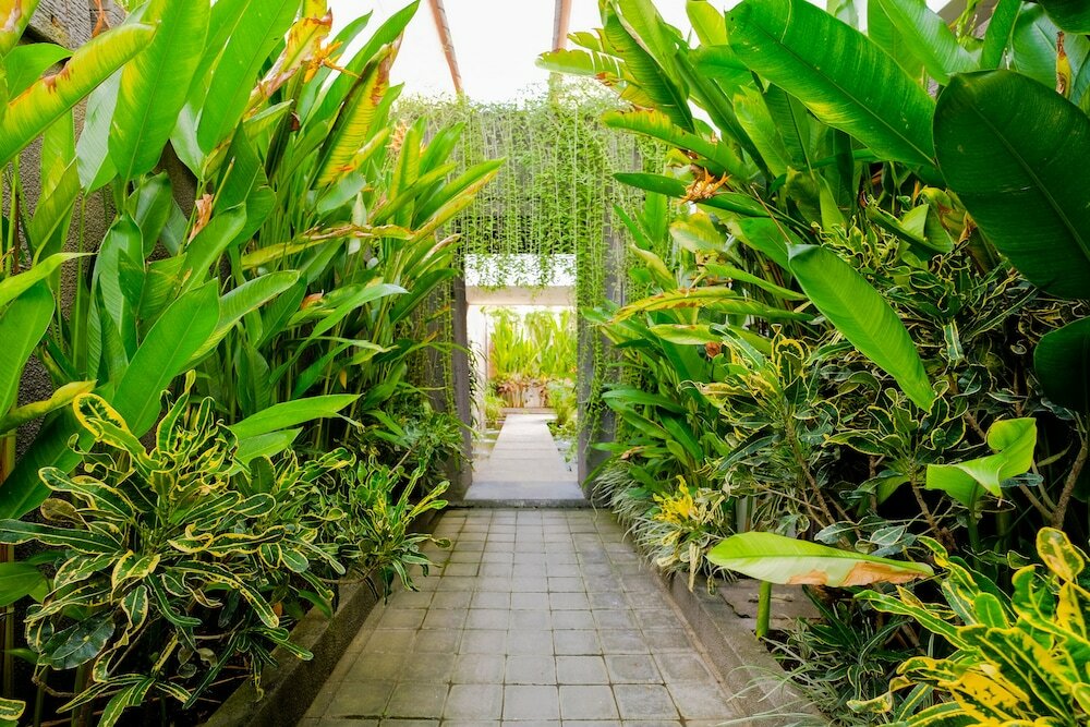 Фото Papillon Echo Beach