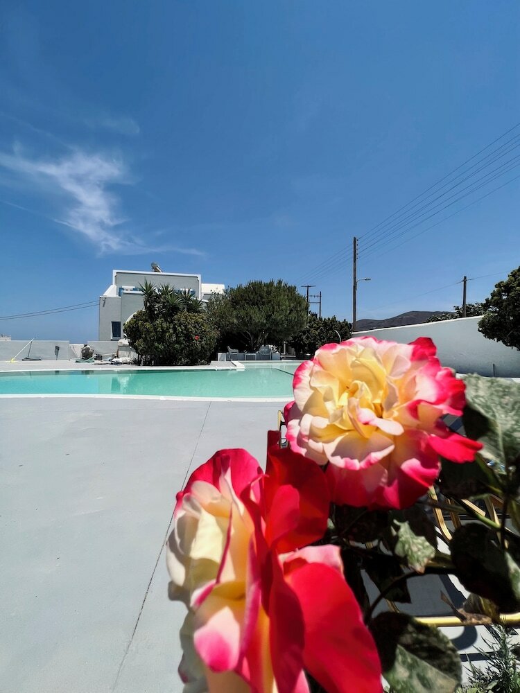 Фото Santo Margarita