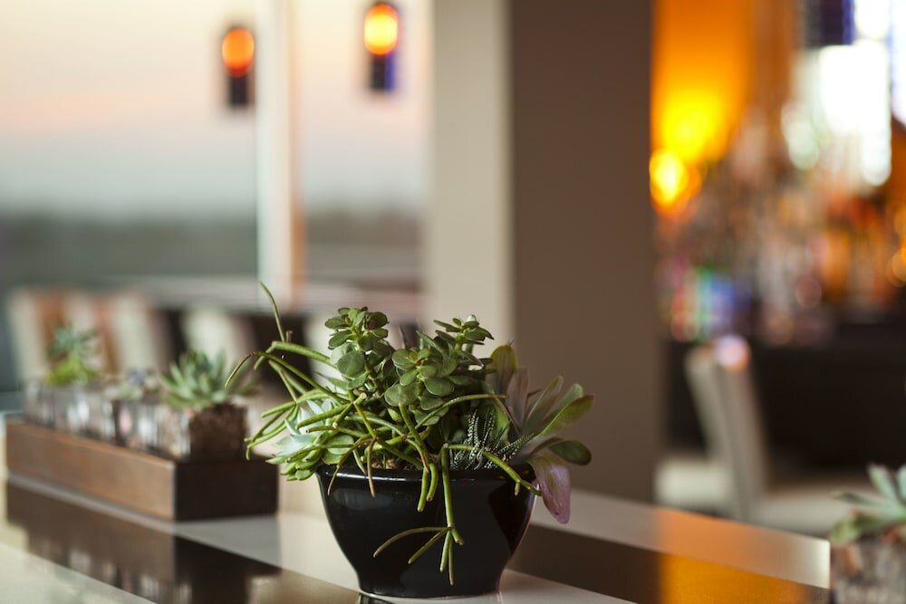 Фото Ambassador Hotel Oklahoma City, Autograph Collection