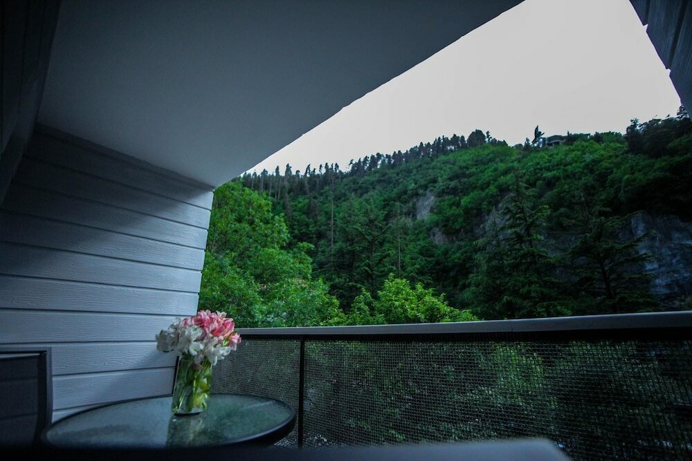 Фото Borjomi Underwood