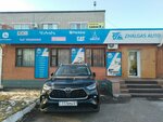 Zhalgas Auto (Aqjol dańǵyly, 53/4), auto parts and auto goods store