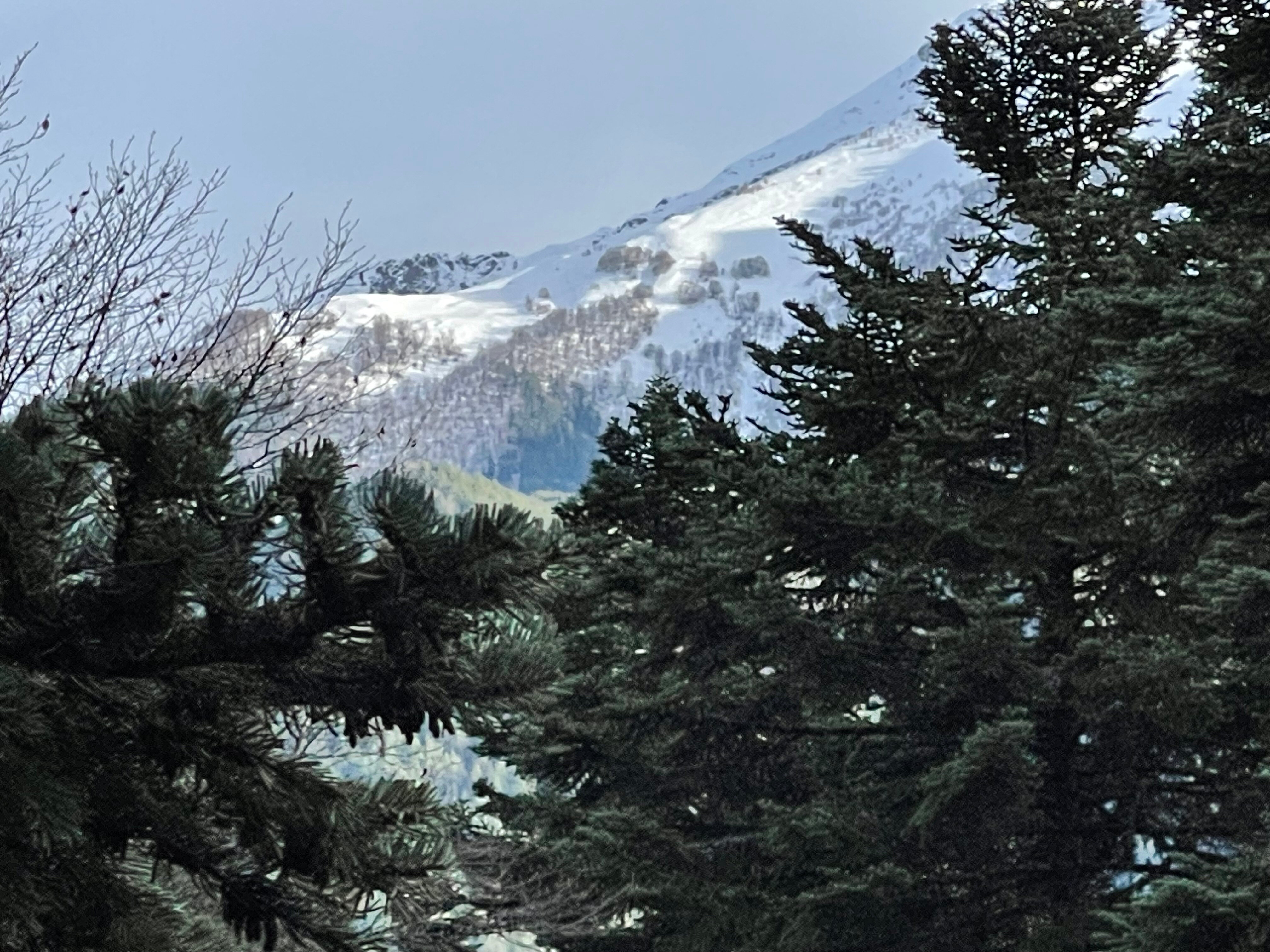 Фото Chalet Monte