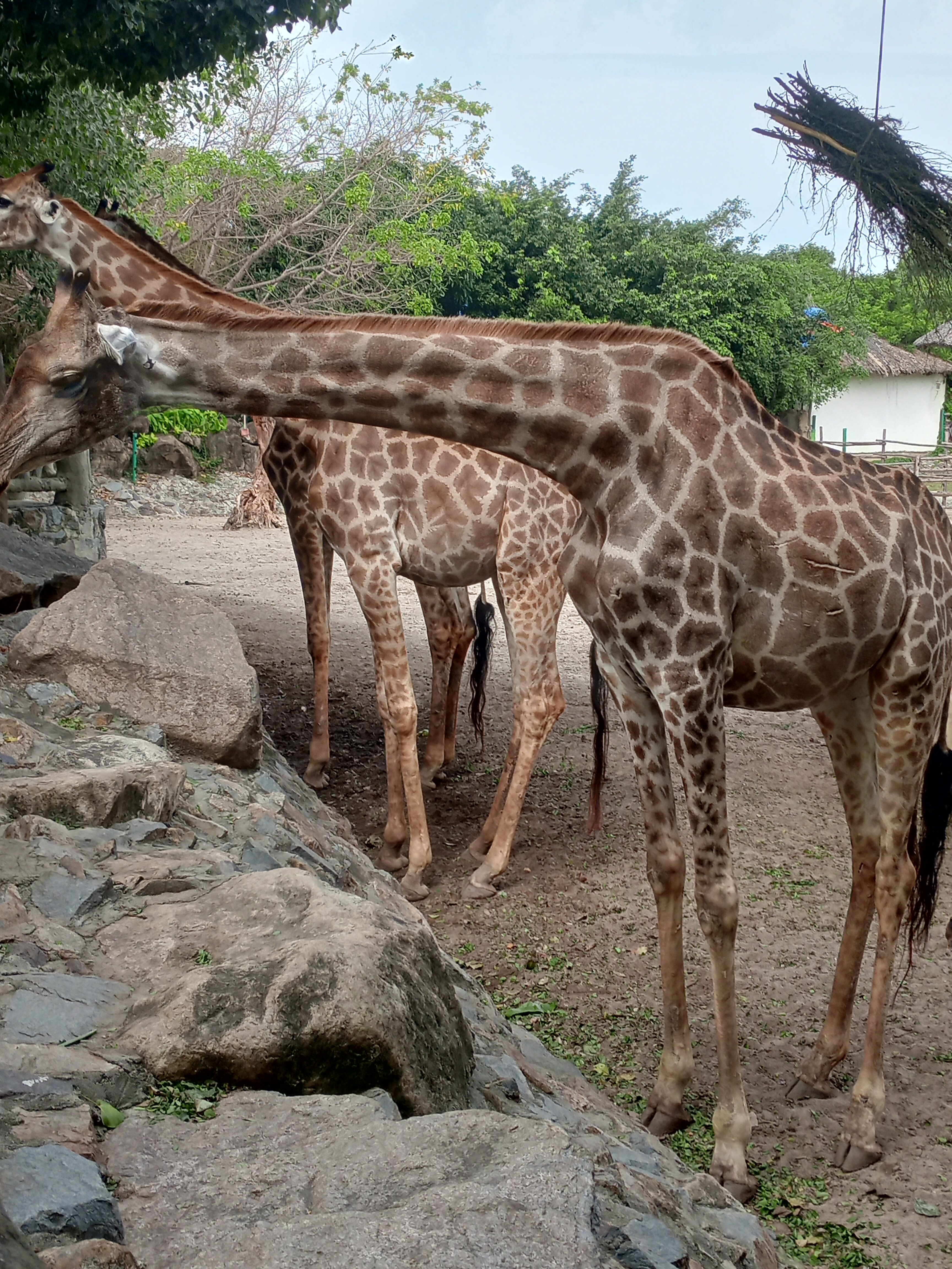 Фото Green World
