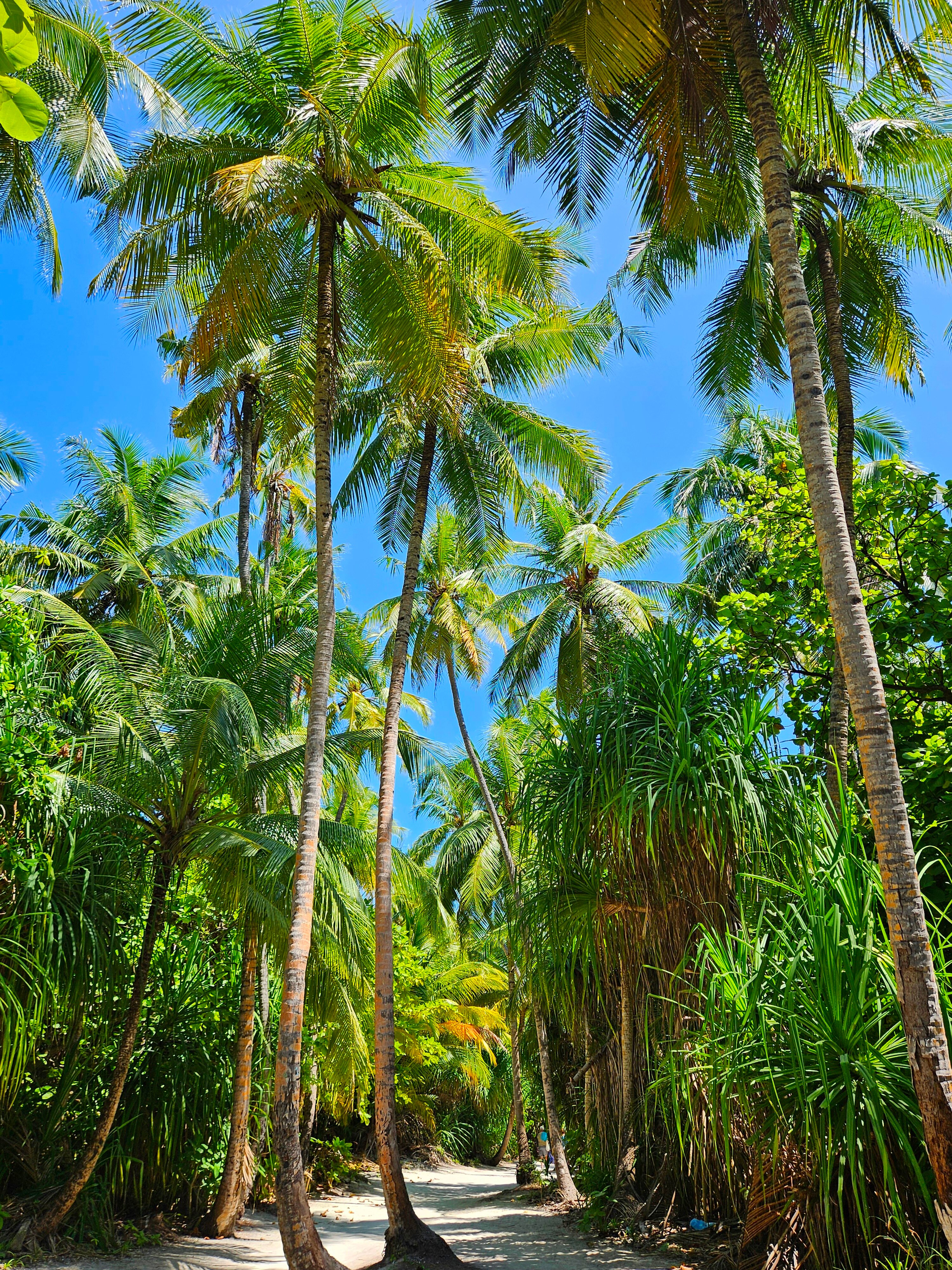 Фото Village Hideaways & Spas