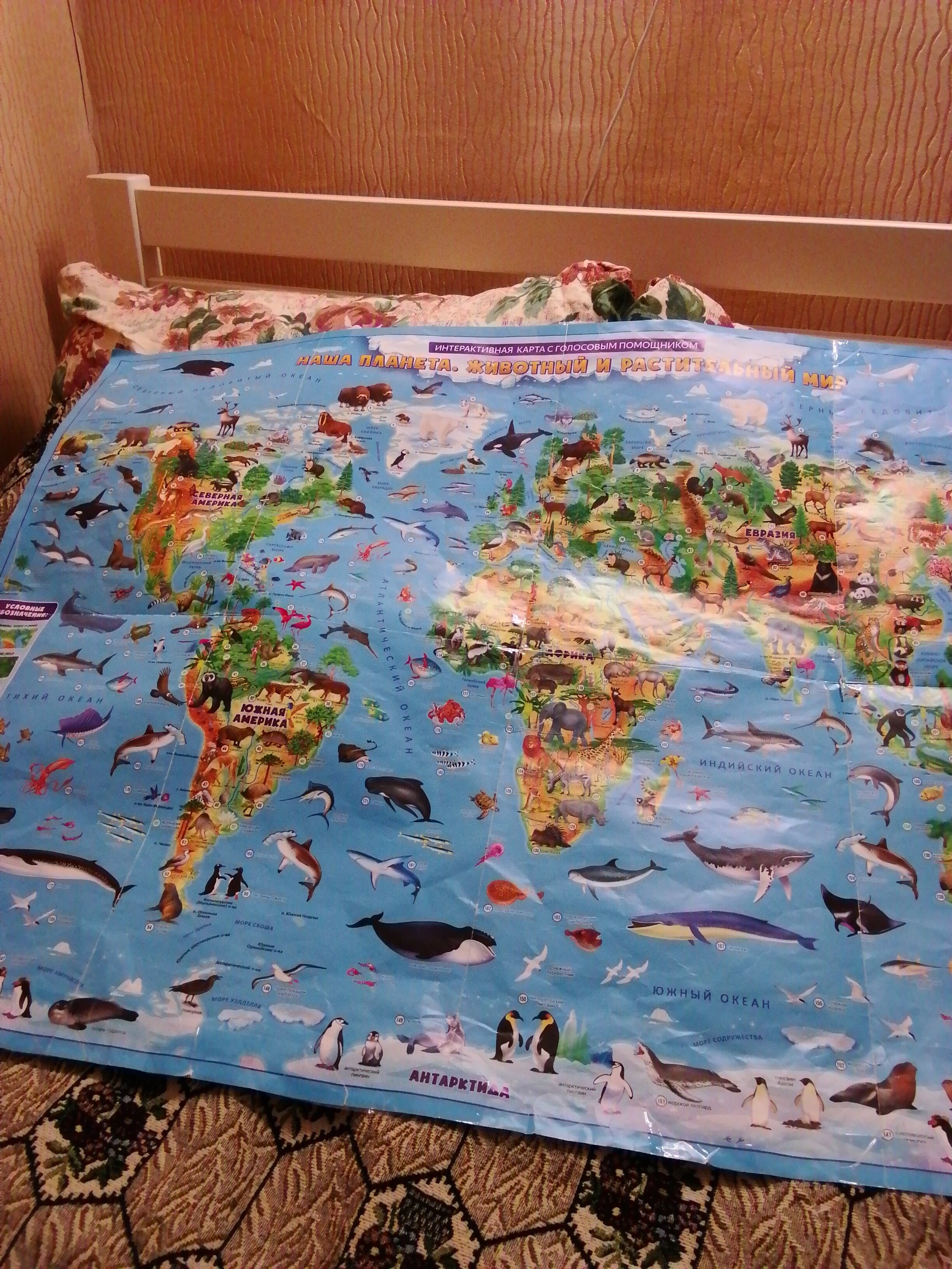 Фото Апартаменты на Фатина