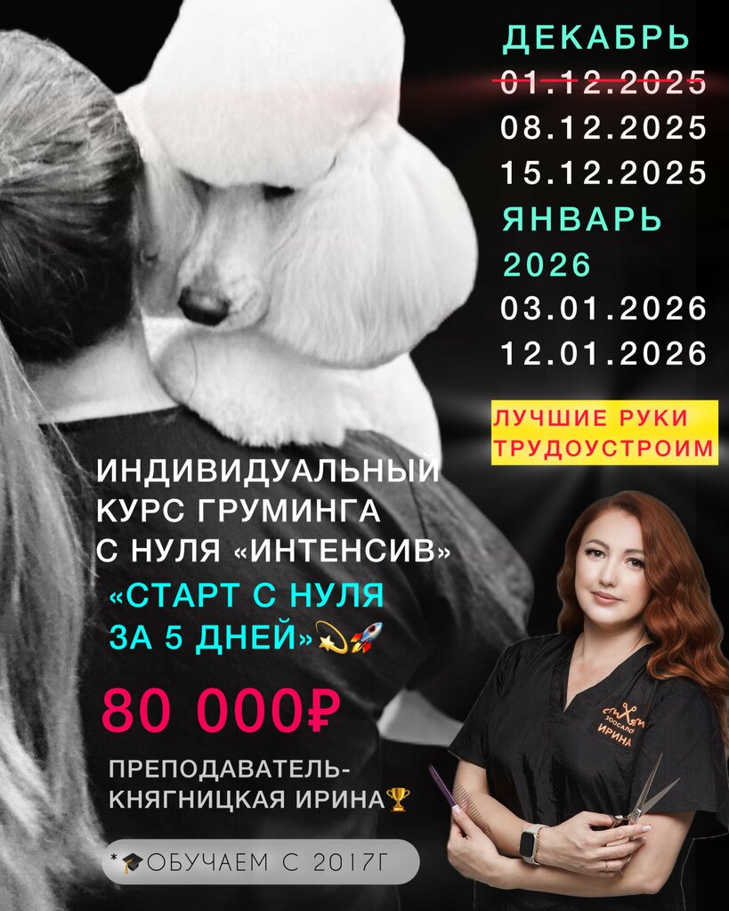 Pet salon Studiya krasoty dlya domashnikh lyubimtsev Stilyagi, Vladivostok, photo