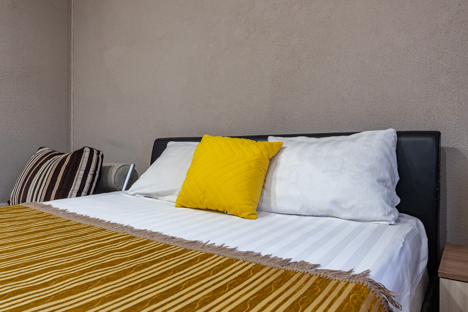 Фото Альбатрос